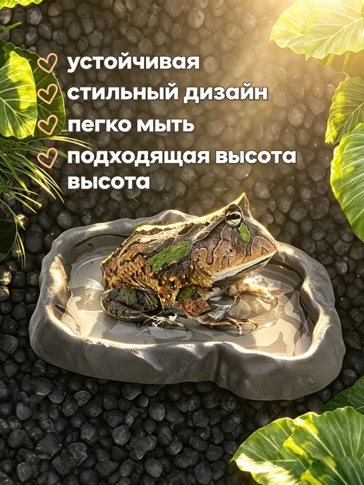 Кормушка-поилка для рептилий и амфибий 15.5×12×2 см, 15.5x12x2 см, фото 3