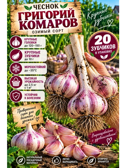 Луковицы чеснока озимого 20 штук Григорий Комаров, 20 шт