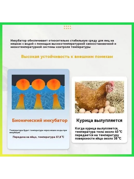 Инкубатор для куриных яиц, 10 шт, питание 220 В, 10 шт, фото 8