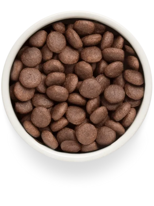 Сухой корм Grandorf fresh Батат для собак, крупные, ягненок, 10 кг, фото 4