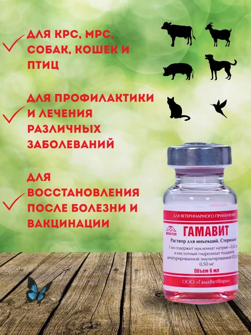 Иммуномодулирующий раствор для животных 6 мл, 5 флаконов, 6 мл, фото 2