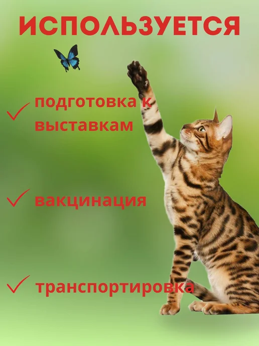 Иммуномодулирующий раствор для животных 6 мл, 5 флаконов, 6 мл, фото 3