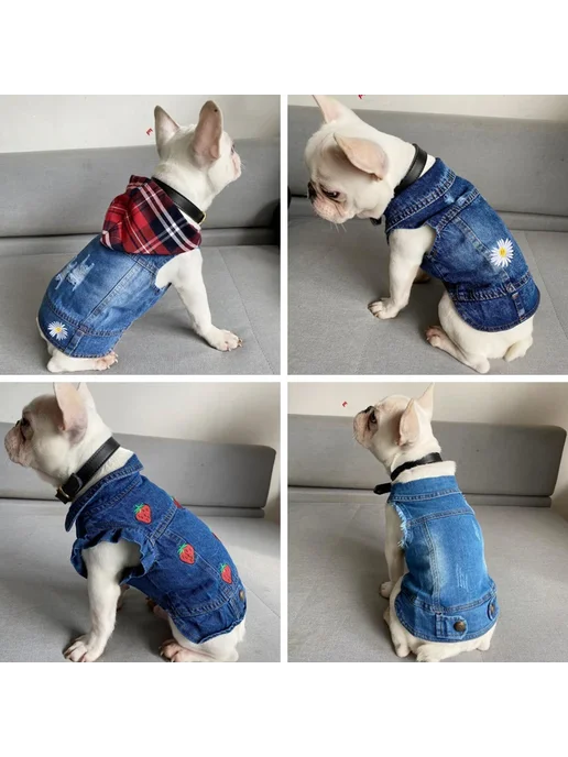 miss doggy Весенний джинсовый жилет для собак, одежда ши-тцу для малень, вариант, фото 3