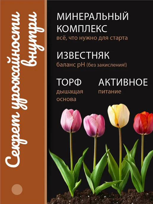Грунт для рассады 25 л, Фабрика грунтов, 25 л, фото 4
