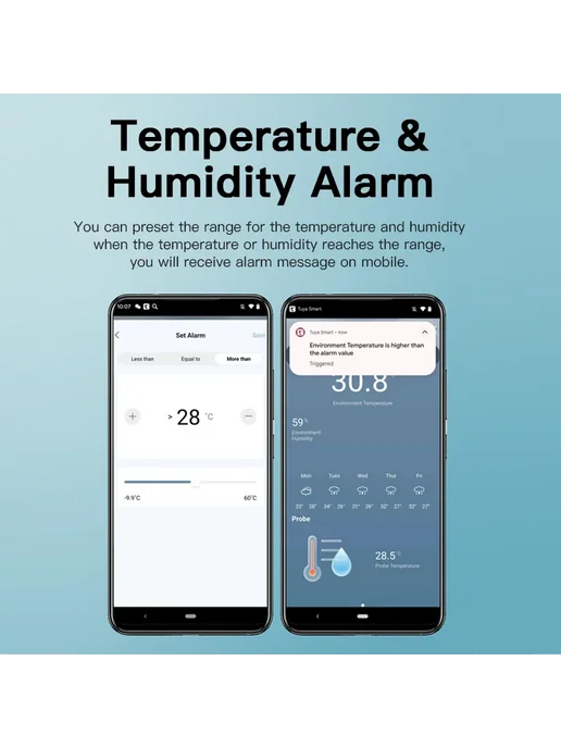 MinisterWorks Министерворкс Датчик Температуры Туя Wi-Fi, вариант, фото 4