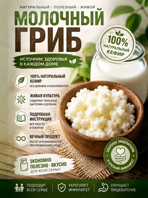 Тибетский молочный гриб для приготовления кефира, 1 шт, 1 шт