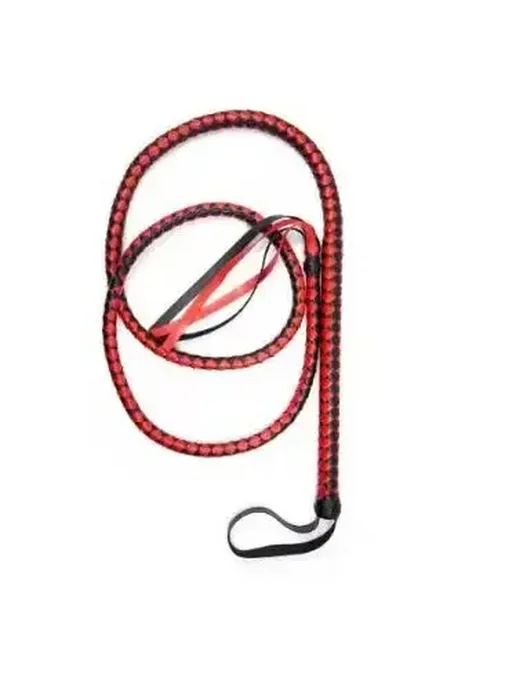 Нет бренда Конный хлыст для тренировок 190 см Красный, Red black-190cm, черный