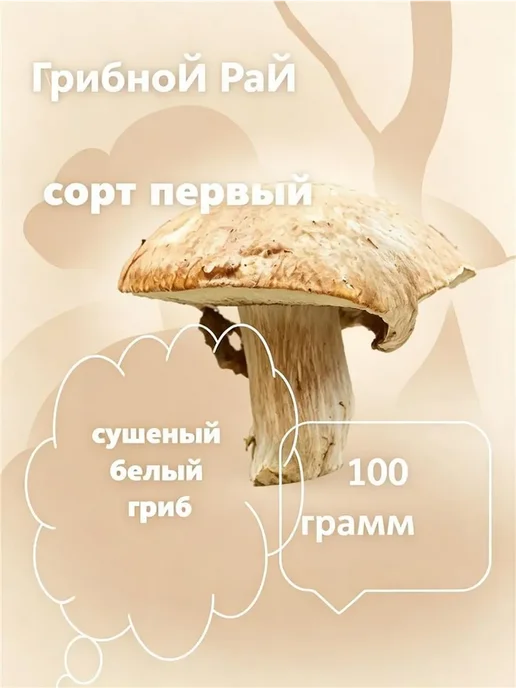 Сушеные белые грибы 100 г, 100 г