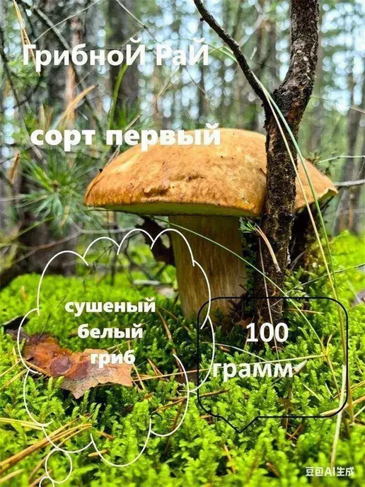 Сушеные белые грибы 100 г, 100 г, фото 2