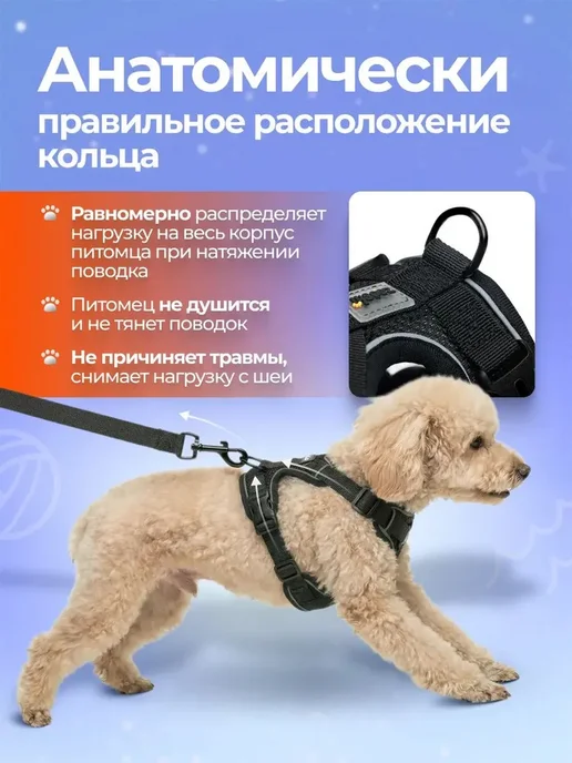 Шлейка для собак и кошек мелких и средних пород с поводком, вариант, фото 4