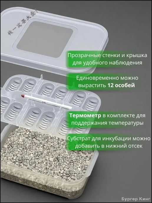Инкубатор для рептилий, 12 ячеек с термометром, Инкубатор рептилий 12 ячеек, фото 4