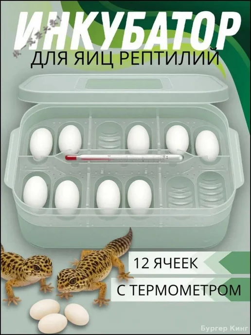 Инкубатор для рептилий, 12 ячеек с термометром, Инкубатор рептилий 12 ячеек, фото 5