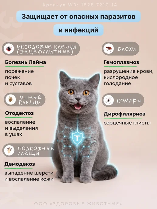 Тиксфли Таблетки от блох и клещей для кошек 3,2-6,5 кг, 1 табл, вариант, фото 4