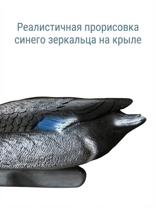 Чучело кряквы селезня для охоты, 1 шт, 1 шт, фото 3
