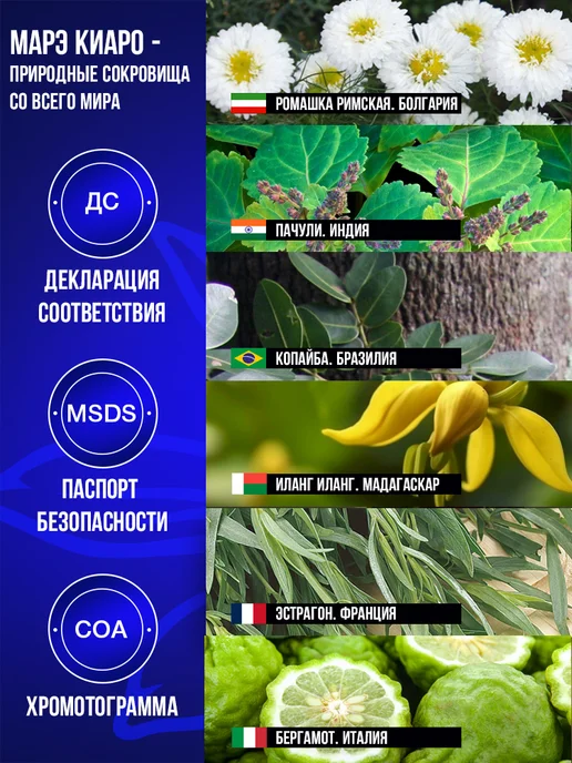 Натуральное эфирное масло сельдерея 5 мл для ароматерапии, 5 мл, фото 2