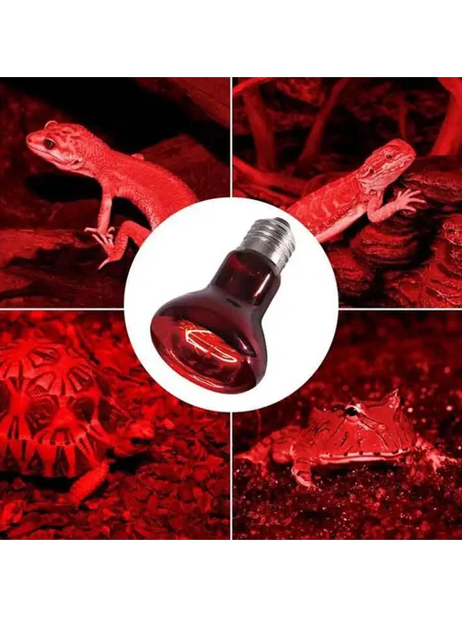 Керамическая лампа для рептилий E27 - Wine red, красный