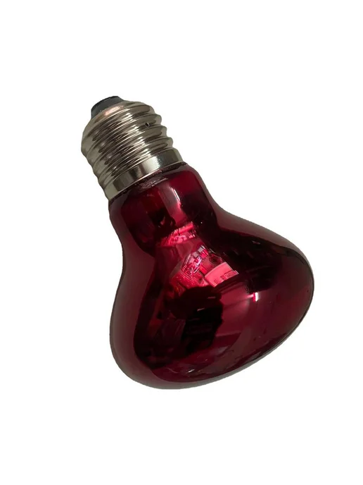 Керамическая лампа для рептилий E27 - Wine red, красный, фото 5