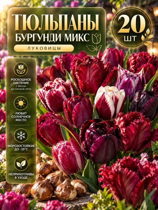 Луковицы тюльпана многолетние Микс 15 шт, 20 шт