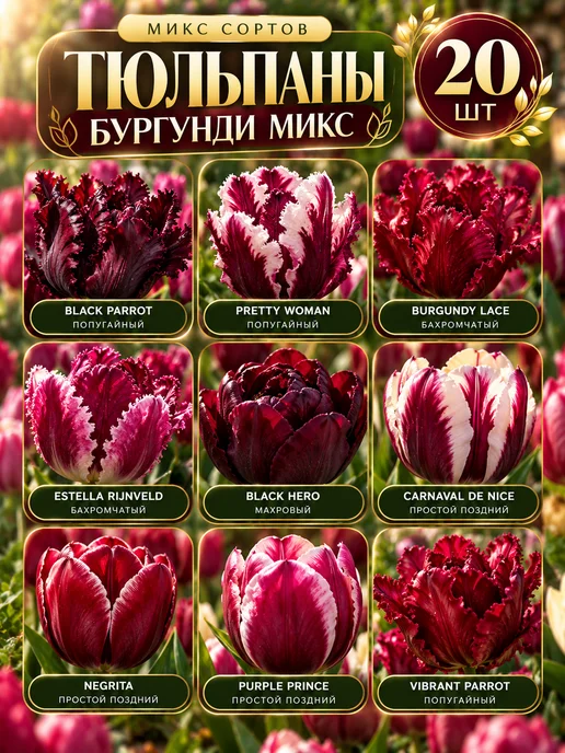 Луковицы тюльпана многолетние Микс 15 шт, 20 шт, фото 3