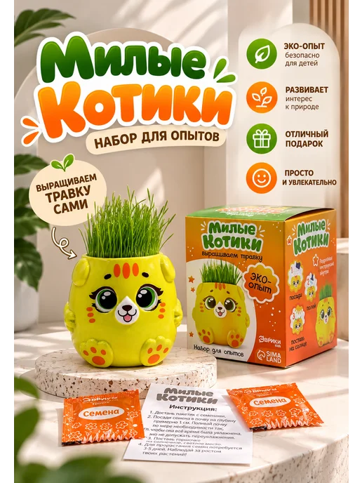 Tolomush Набор для выращивания травы — детский эко-опыт, вариант