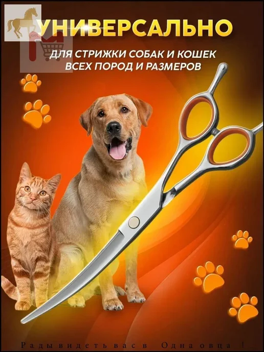 Изогнутые ножницы для груминга кошек, металл, вариант, фото 4