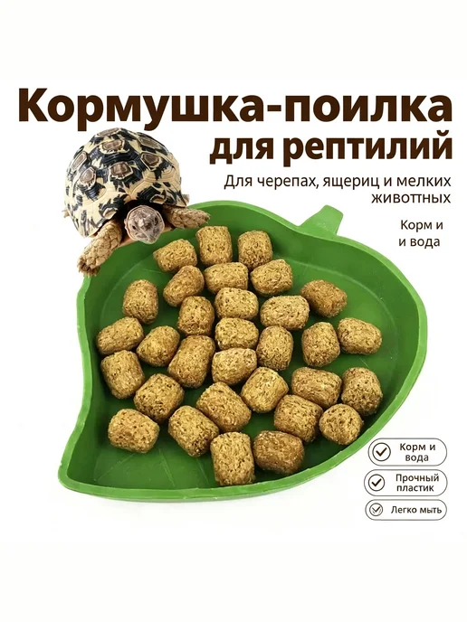 Кормушка-поилка для террариума, 2,5×6,5×7 см, 15.4x12.4x1.8 см, фото 2