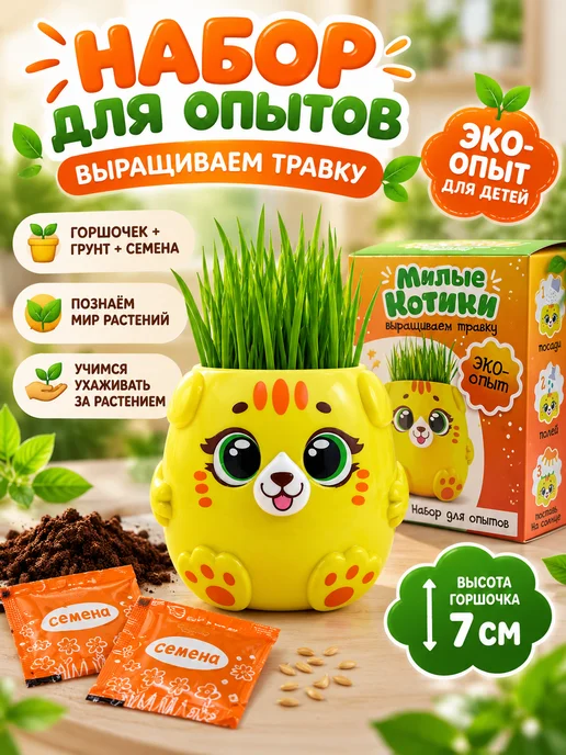 КА99 Набор для опытов для детей с выращиванием растений, вариант, фото 2