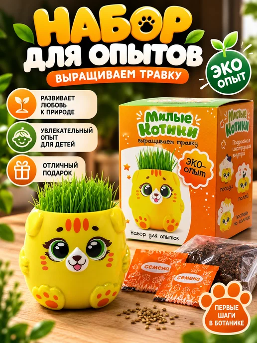 KUDUSAI3 Набор для опытов Котики. Выращиваем травку, вариант