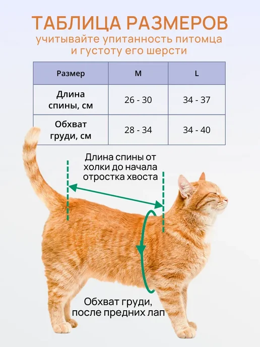 Попона для кошки послеоперационная, голубой, фото 4
