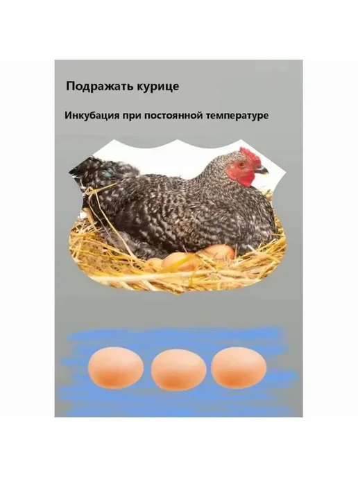 Автоматический инкубатор для яиц с подсветкой, вариант, фото 3