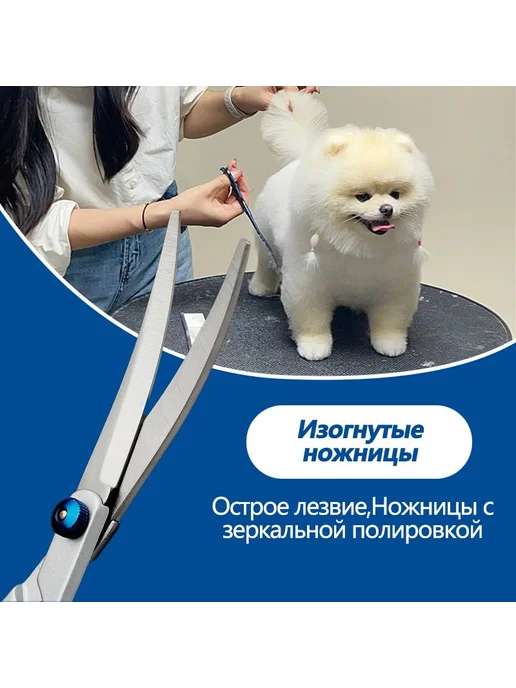 Ножницы для груминга собак и кошек, 20 см, вариант, фото 4