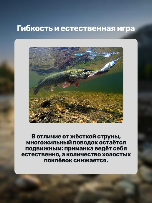Старый Скат Поводки для рыбалки (2 шт уп) 1х19 Classic 8 кг, 25 см, 1x19, 2 шт, фото 7