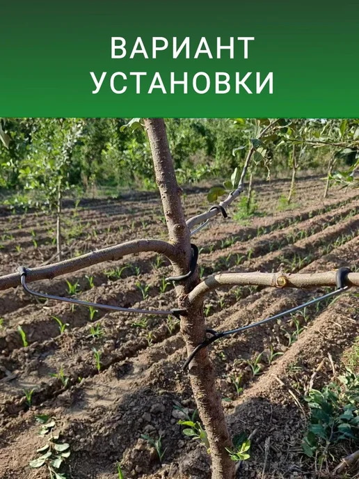Подвязка для растений 26 см x 0.6 см 10 шт, 10 шт, фото 6