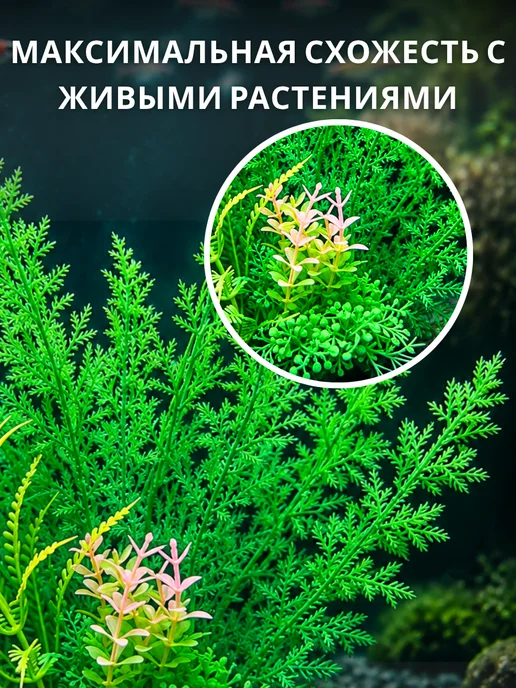 АкваШопНН Растения для аквариума искусственные, декорации не живые, вариант, фото 3