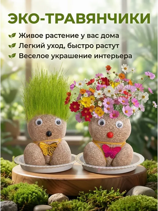 травянчик, вариант