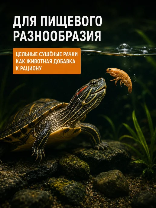Корм для черепахи красноухой, гаммарус тушка сушеный 550 мл, 550 мл, фото 2