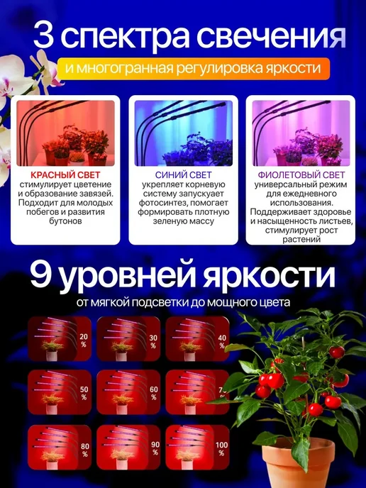 Фитолампа для растений и рассады ультрафиолетовая, вариант, фото 4