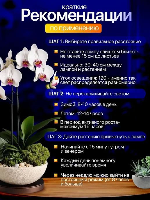 Фитолампа для растений и рассады ультрафиолетовая, вариант, фото 6