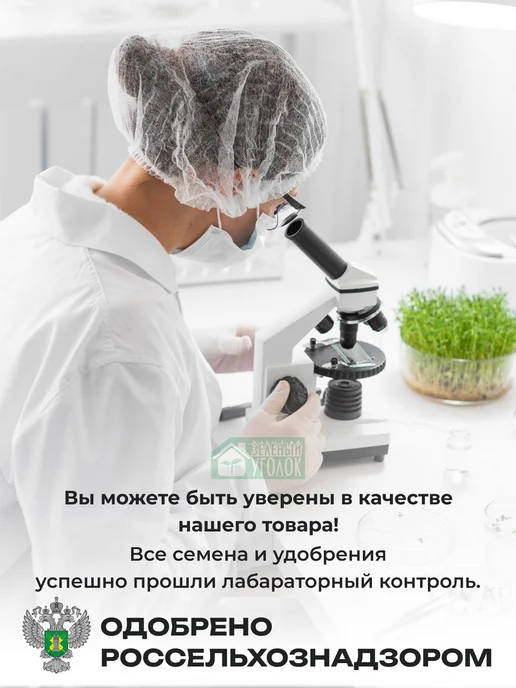 Семена горчицы для засолки 1 кг, 1 кг, фото 3