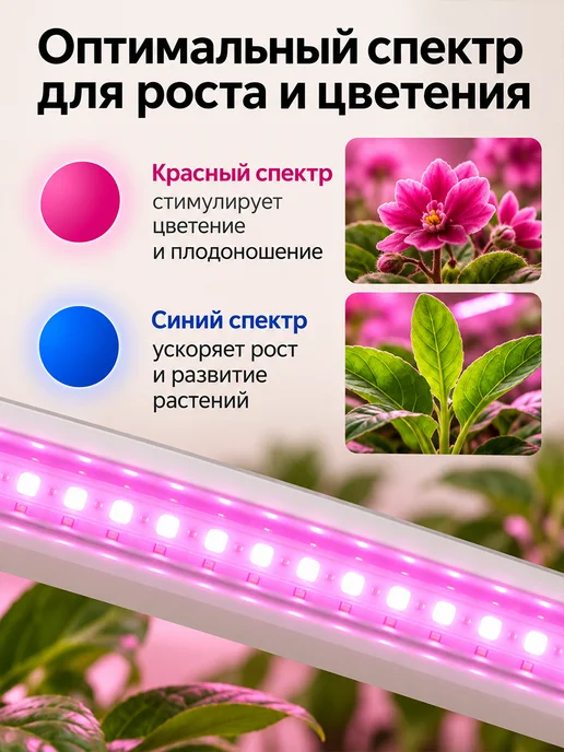 Фитосветильник линейный красно-синий спектор 57 см, синий, фото 3