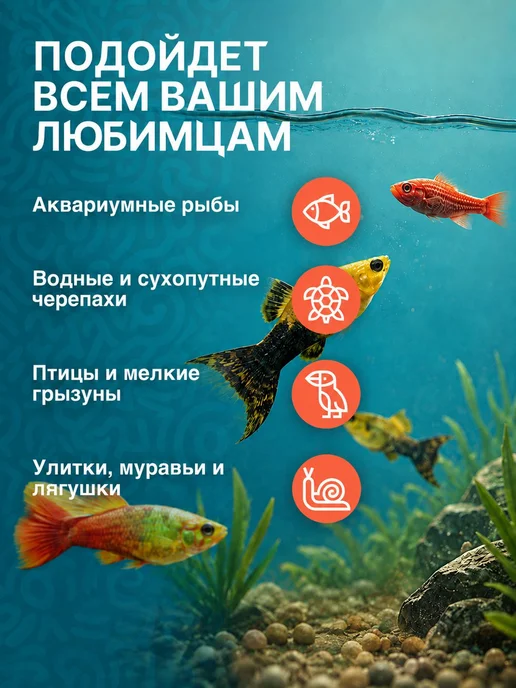 Гаммарус сушёный - натуральный корм для красноухой черепахи, красный, фото 4