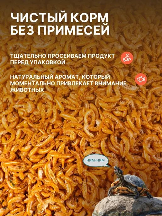 Гаммарус сушёный - натуральный корм для красноухой черепахи, красный, фото 6