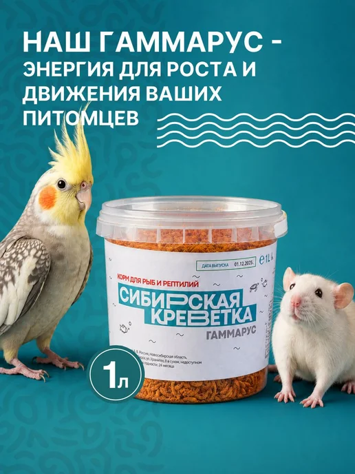 Гаммарус сушёный - натуральный корм для красноухой черепахи, красный, фото 8