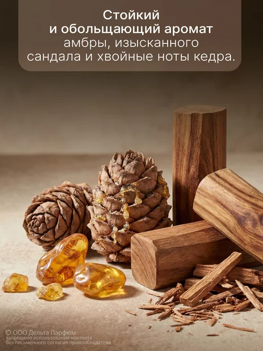 Гель для душа VEGAN.Love.Studio Кедр, амбра, сандал, аромат, вариант, фото 2