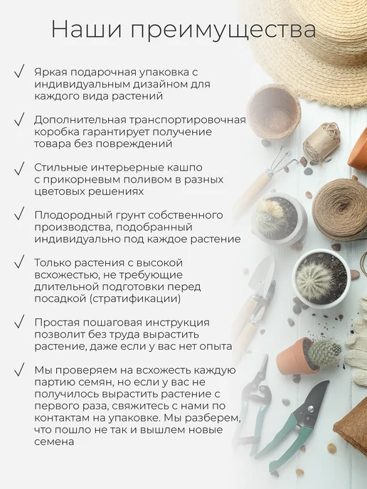 Магия Цветов Индийская сирень Набор для выращивания растений, вариант, фото 4