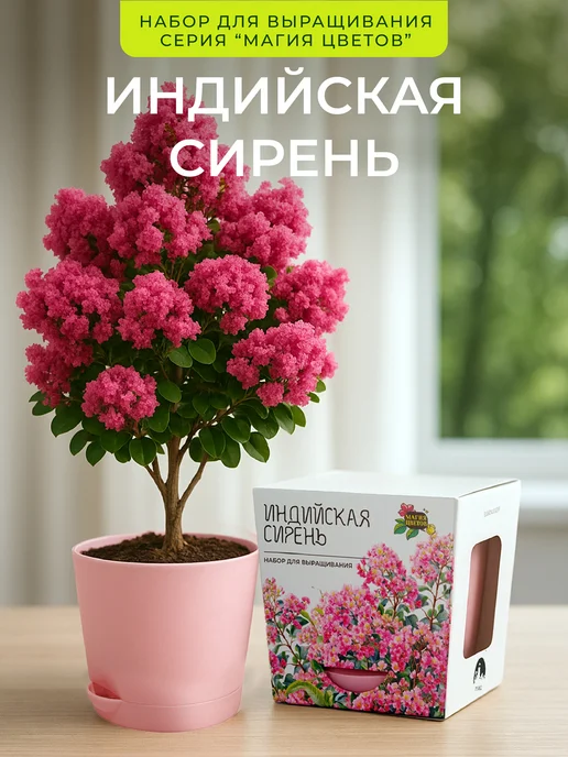 Магия Цветов Индийская сирень Набор для выращивания растений, фиолетовый