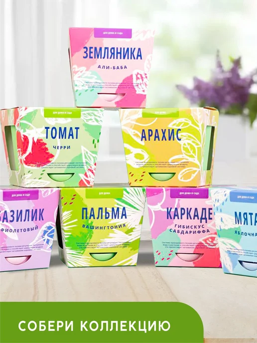 Тысяча Листьев Жакаранда Набор для выращивания растений и цветов, голубой, фото 6
