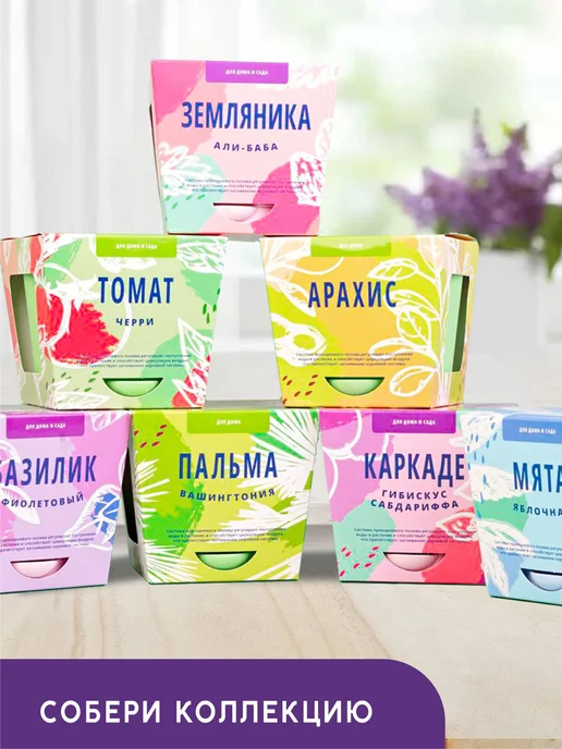 Тысяча Листьев Жакаранда Набор для выращивания растений и цветов, вариант, фото 6