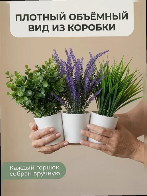 The One Rose Приветствие нового сотрудника, Осока, лаванда, эвкалипт —, зеленый, фото 5