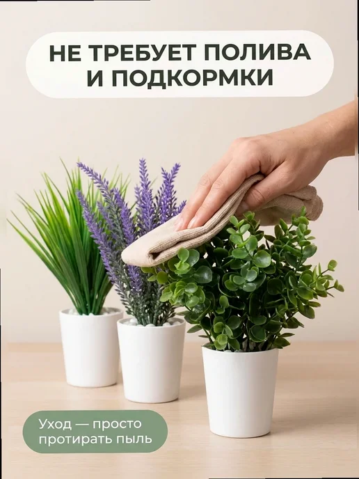 The One Rose Приветствие нового сотрудника, Осока, лаванда, эвкалипт —, зеленый, фото 7
